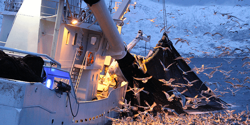 Marine Lubricants
