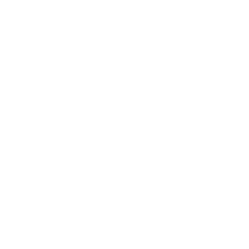 Expericed team 